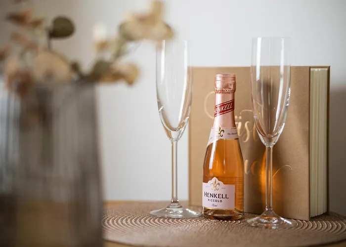 Lägenhet Stylisches In Mit Netflix & Balkon Linz